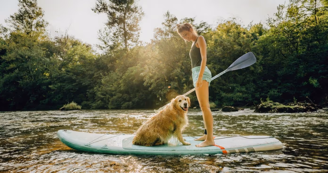 Paddlerin mit SUP bei Abendlicht auf dem Wasser